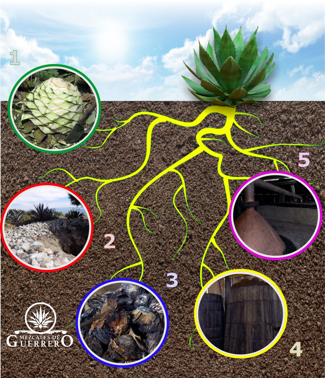 INFOGRAFIA DEL PROCESO ARTESANAL DE ELABORACION DEL MEZCAL